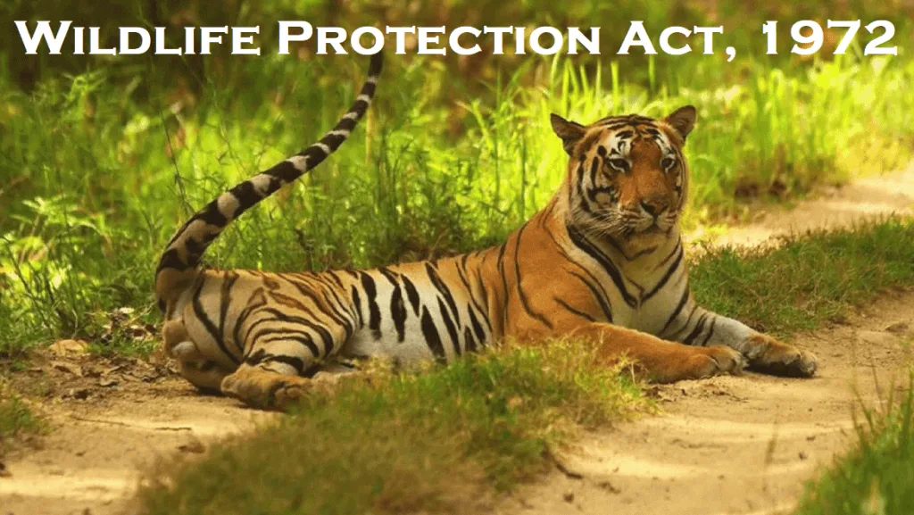 Detailed notes summarizing relevant parts of The Wild Life (Protection) Act, 1972 FOR CLAT PG / UGC NET