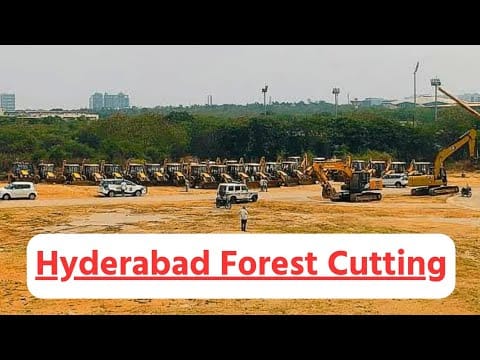 Hyderabad Forest Clearance: How It Challenges India's Environmental Laws and Biodiversity Protection