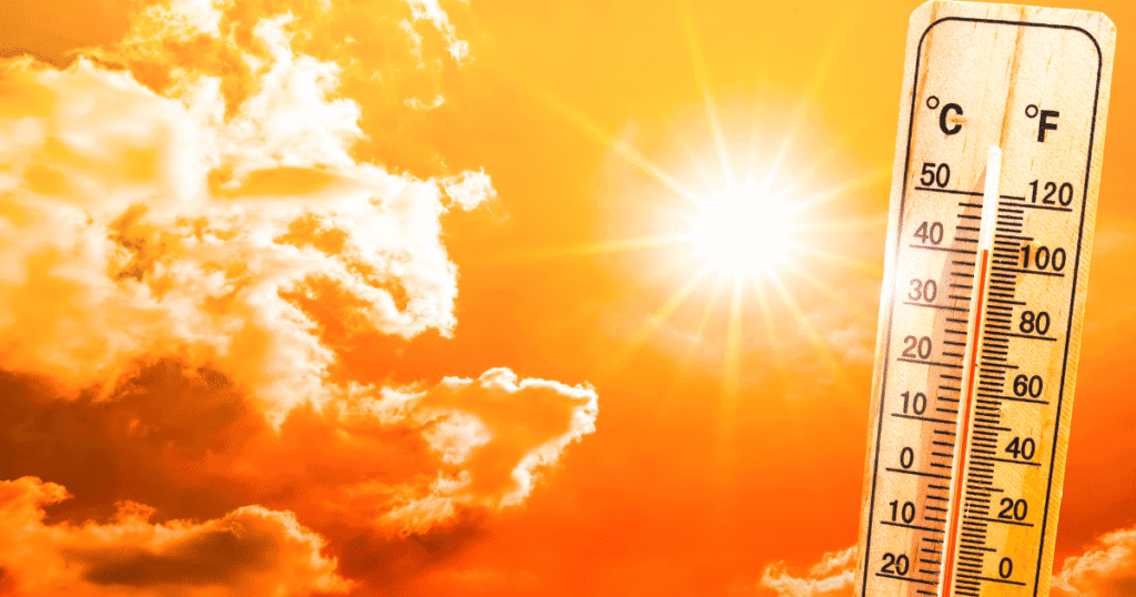 Intensifying Heatwaves in Rajasthan: Constitutional Analysis of India’s Environmental Laws and Climate Adaptation Gaps