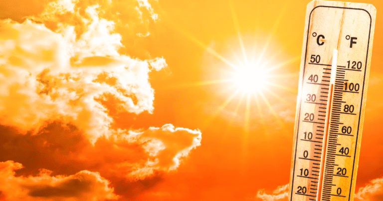 Intensifying Heatwaves in Rajasthan: Constitutional Analysis of India’s Environmental Laws and Climate Adaptation Gaps