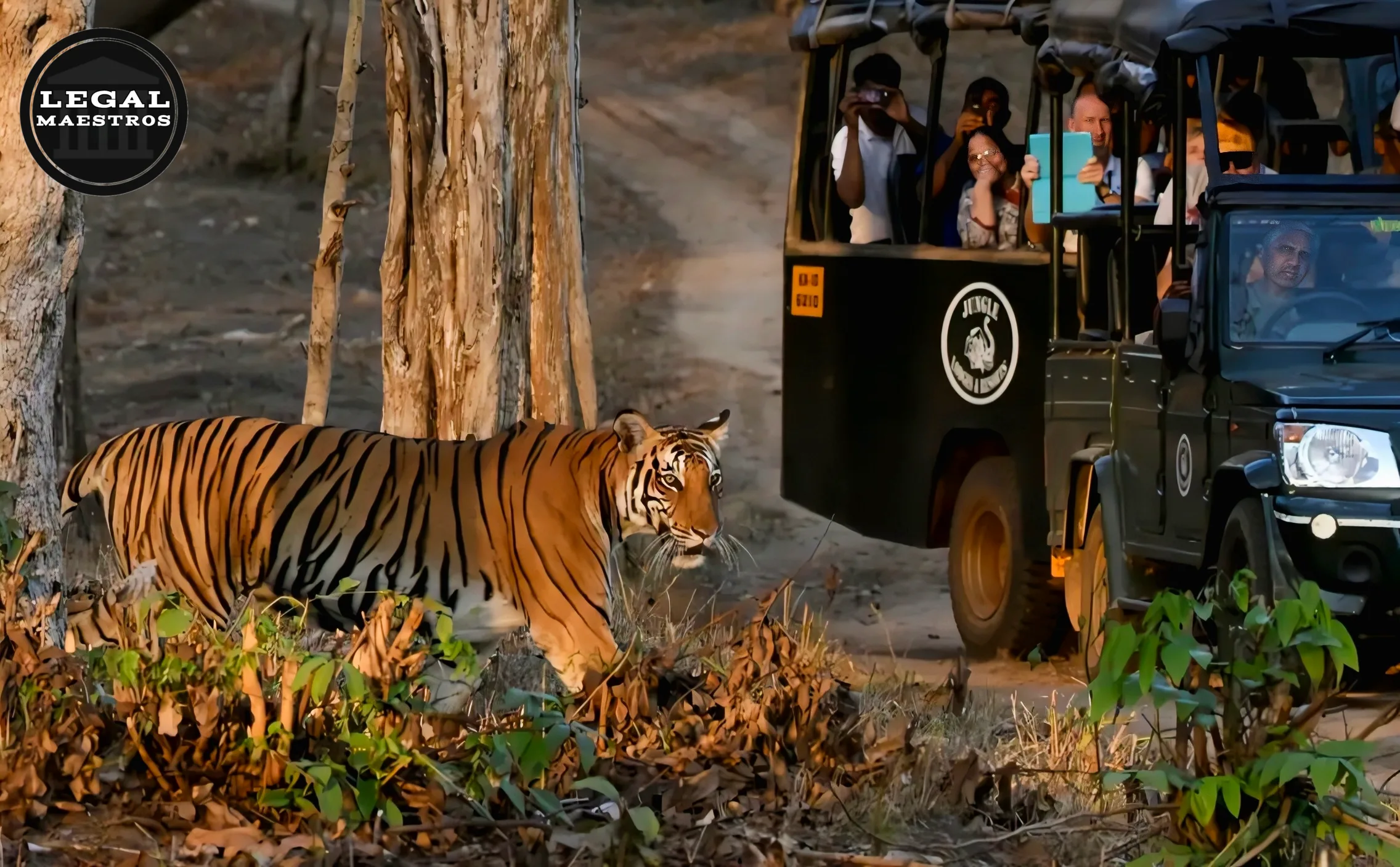 Should film shoots be permitted in reserved forests?