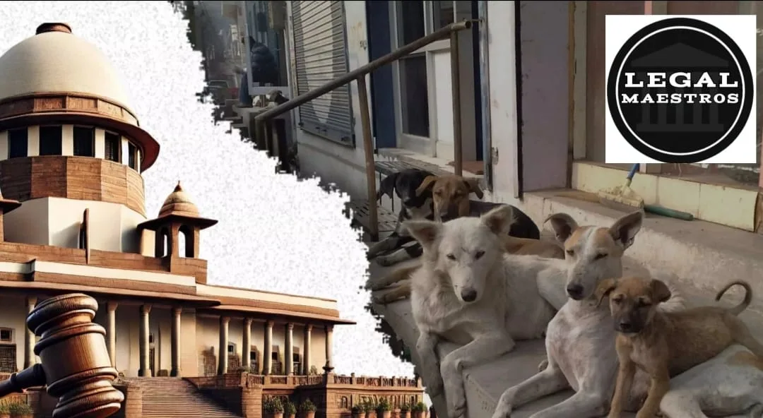 Kerala HC Pauses Govt’s Stray Dog Euthanasia Order, Highlights Human-Animal Rights Balance
